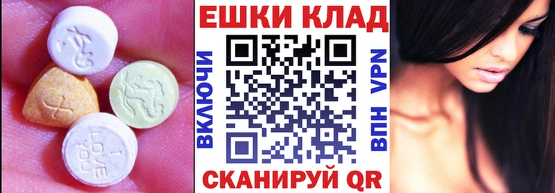 Купить закладки Волхов Экстази DUBAI