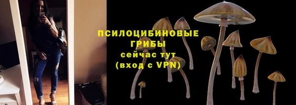 твердый Козловка