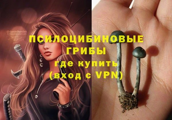 спиды Кодинск