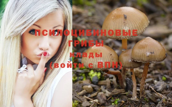 твердый Козловка