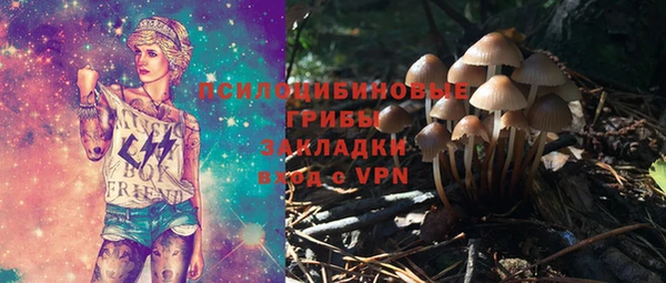твердый Козловка