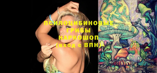 спиды Кодинск