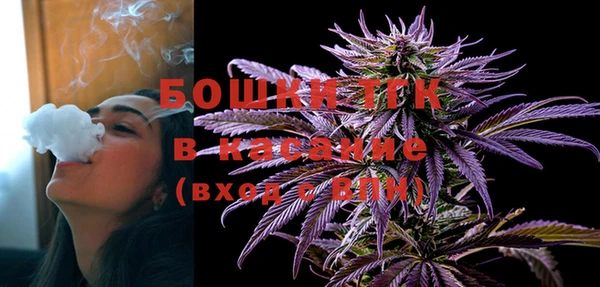 твердый Козловка