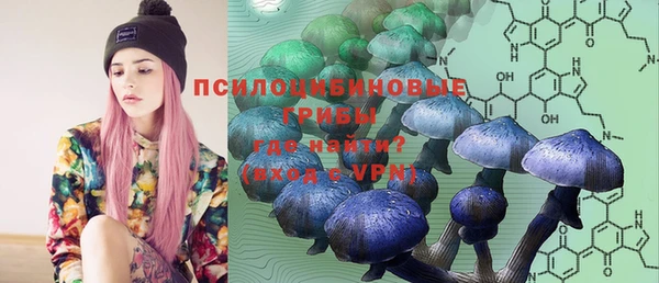 спиды Кодинск