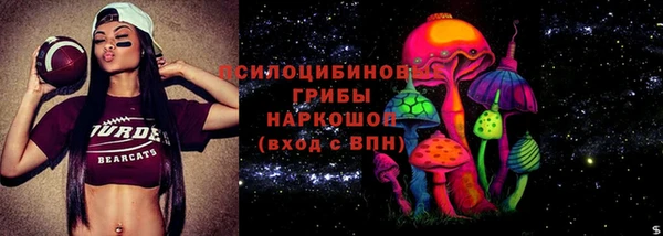 твердый Козловка
